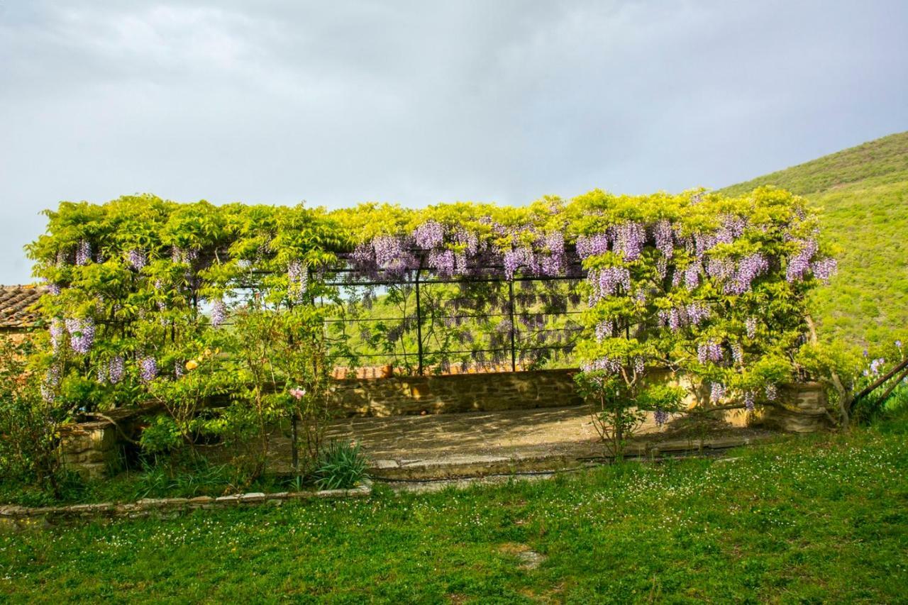 Hotel Borgo Solamore Cortona Zewnętrze zdjęcie
